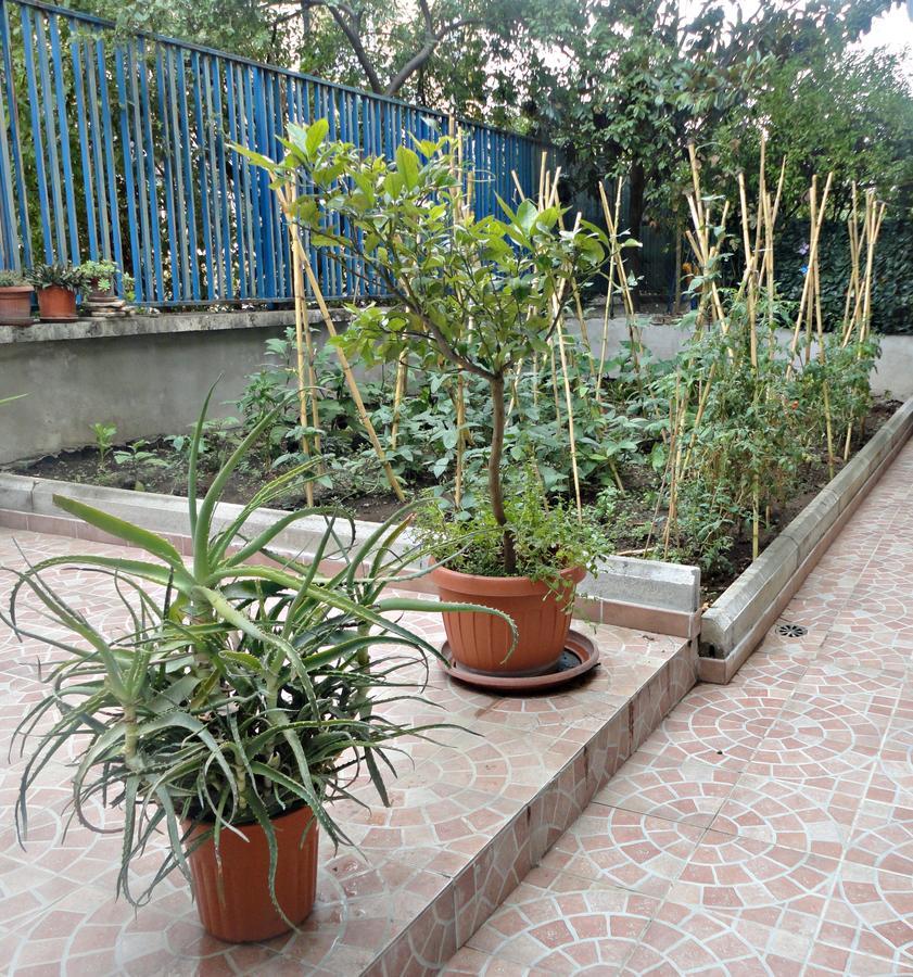 Lunablu Roma Exterior foto